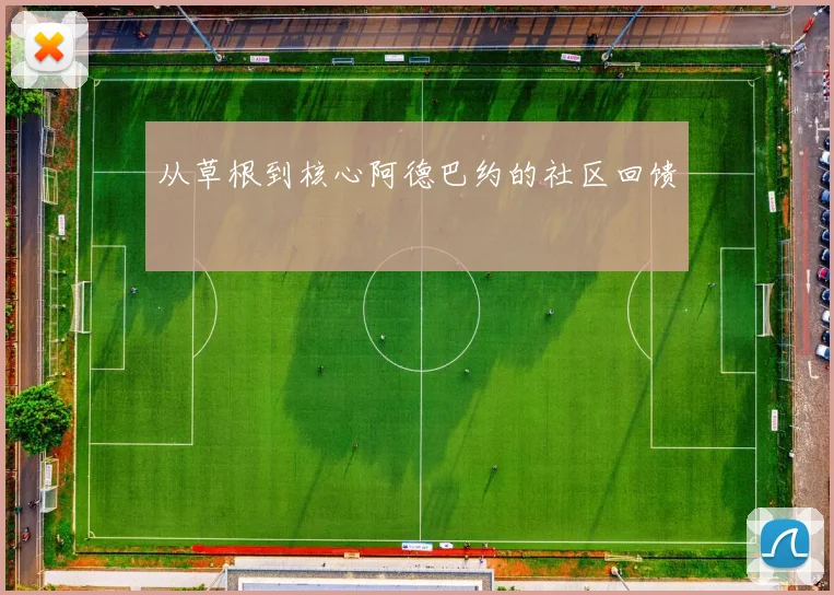 从草根到核心阿德巴约的社区回馈