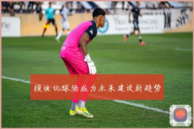 模块化球场成为未来建设新趋势