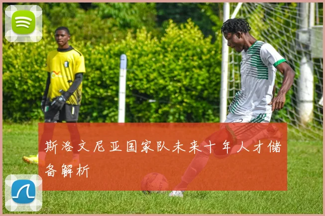 斯洛文尼亚国家队未来十年人才储备解析