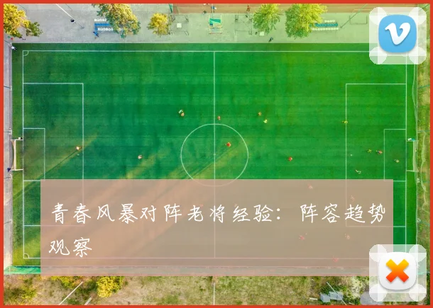 青春风暴对阵老将经验：阵容趋势观察