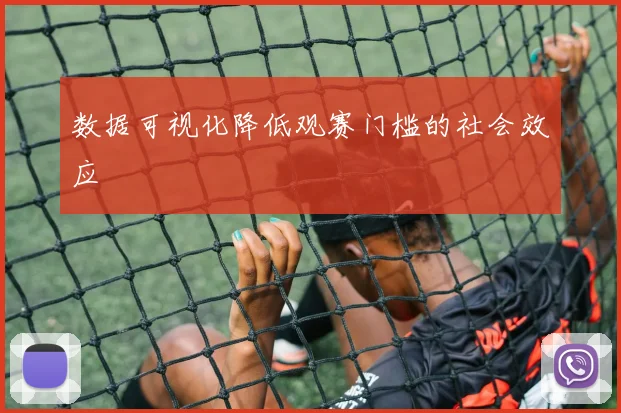 数据可视化降低观赛门槛的社会效应